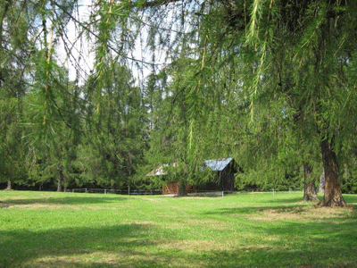 Hütte auf dem Salten salten